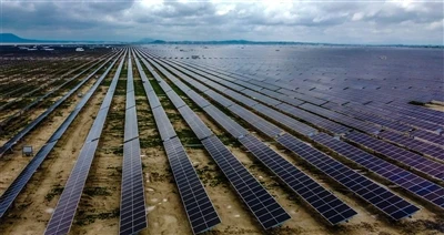 قفزة الطاقة الكهروضوئية في تركيا: مشروع مشترك لشركة Alfa Solar & Chint New En...